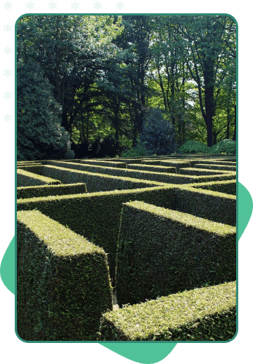 Green Maze
